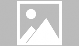 最新吃瓜爆料小羊图片高清,高清图片背后的趣味故事